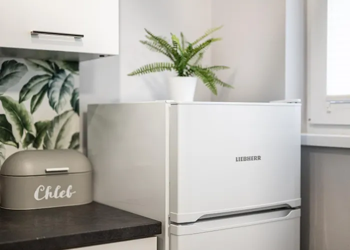 Appartement Wrostay Kuznicza *